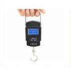 2. POCKET HANGING SCALES 1 - Capacity 50 Kg x 10 gm